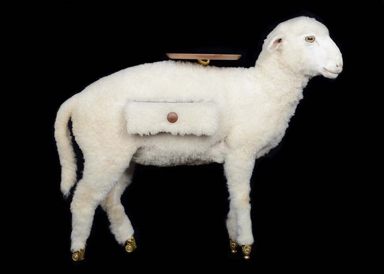 Taxidermy Sheep Cabinet