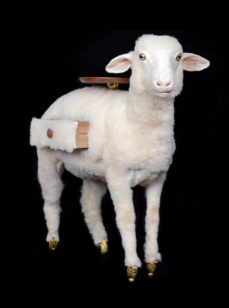 Taxidermy Sheep Cabinet