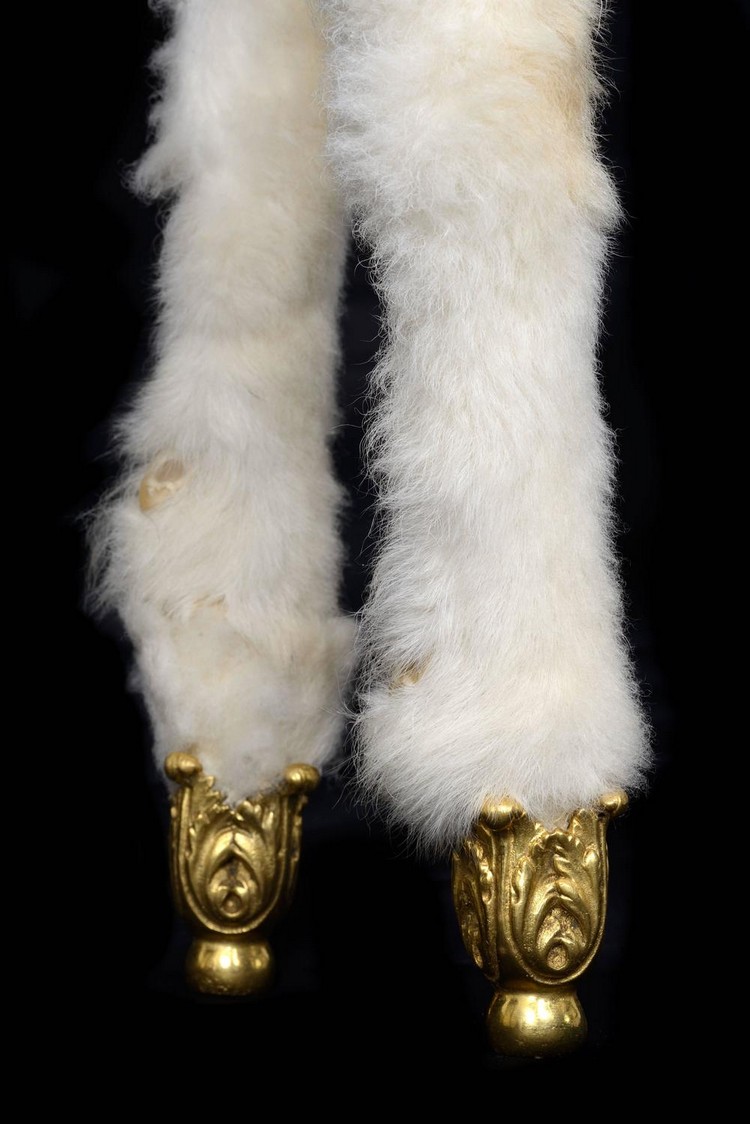 Taxidermy Sheep Cabinet Joins Salvador Dalí Furniture Collection (3)