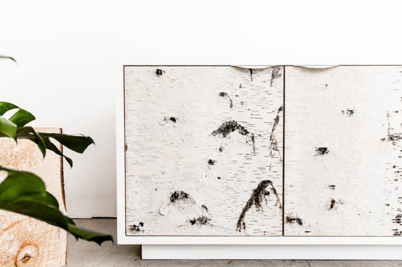 Birch Bark
